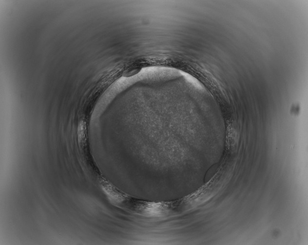 X0000098010130200804251123