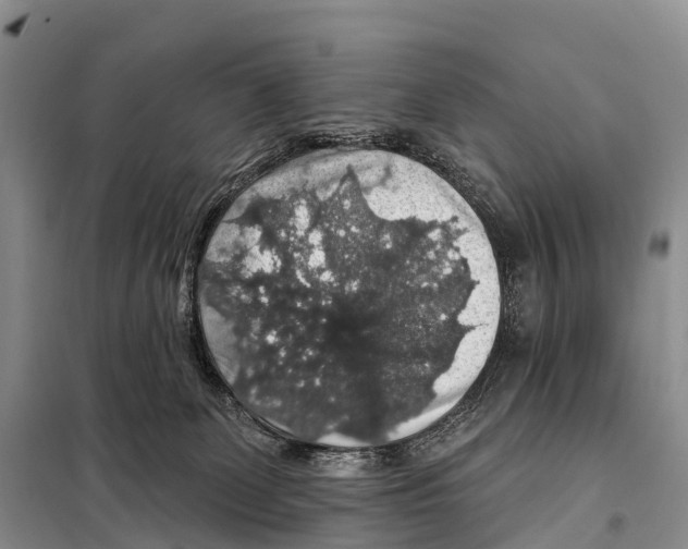 X0000098010131200804251123