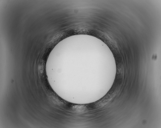 X0000098010133200804251123