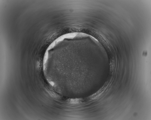 X0000098010134200804251123