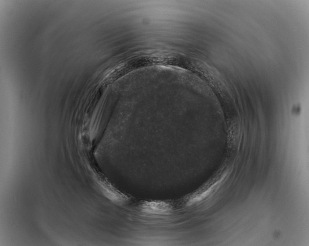 X0000098010137200804251123
