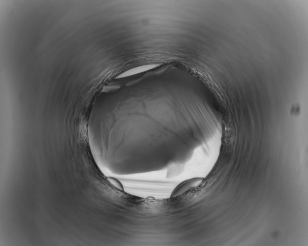 X0000098010143200804251123
