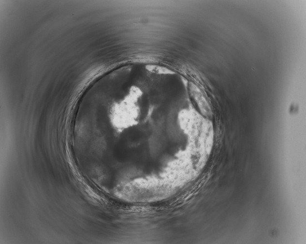 X0000098010145200804251122