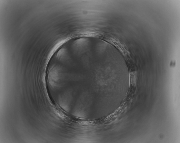X0000098010147200804251122