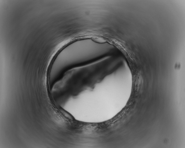 X0000098010148200804251122