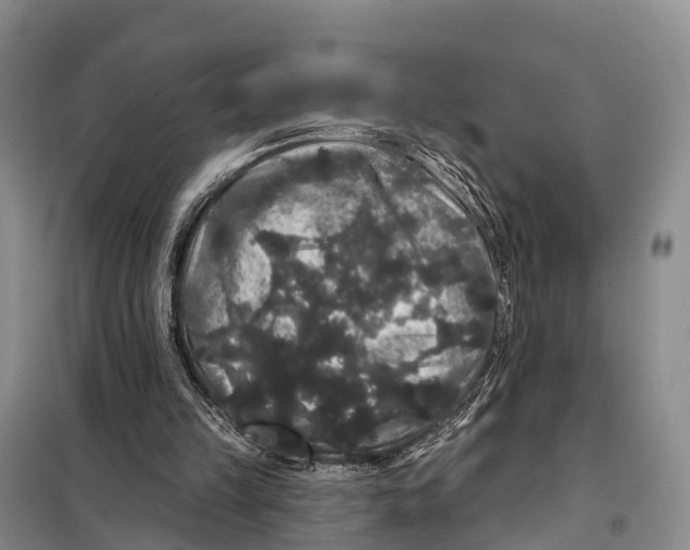 X0000098010149200804251122