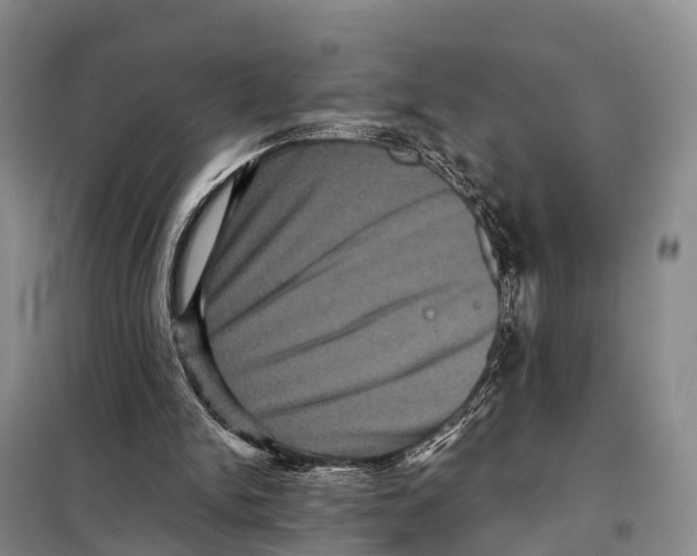 X0000098010150200804251122