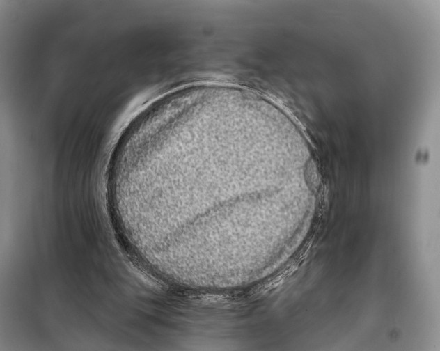 X0000098010151200804251122