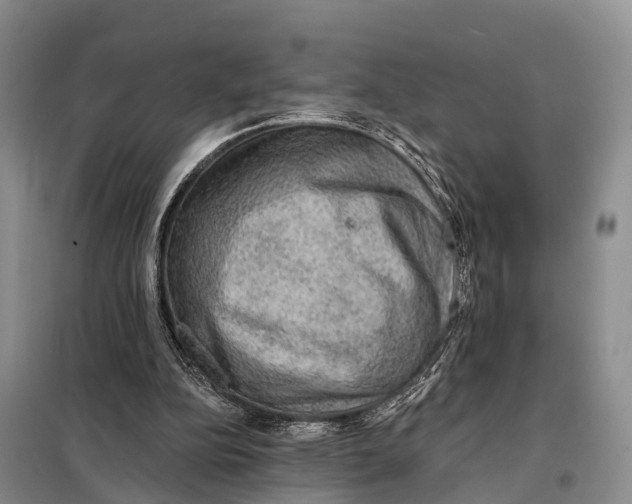 X0000098010152200804251122