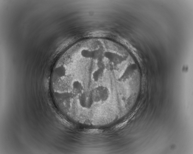 X0000098010153200804251122