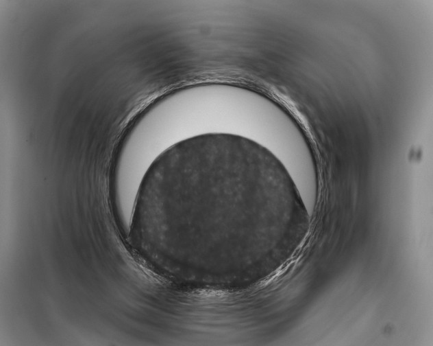 X0000098010154200804251122