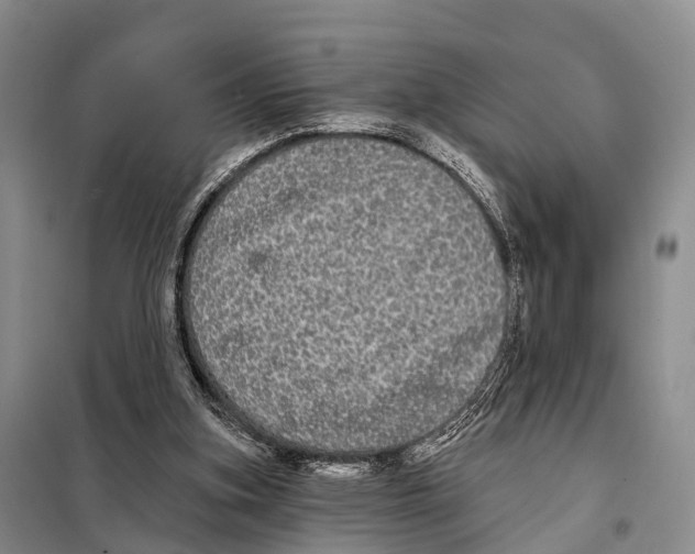 X0000098010155200804251122