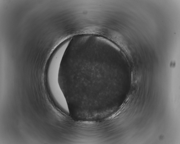 X0000098010156200804251122