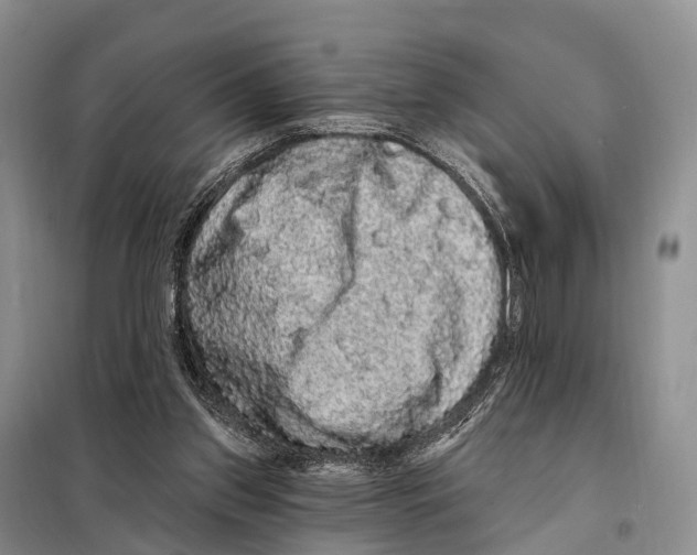X0000098010157200804251122