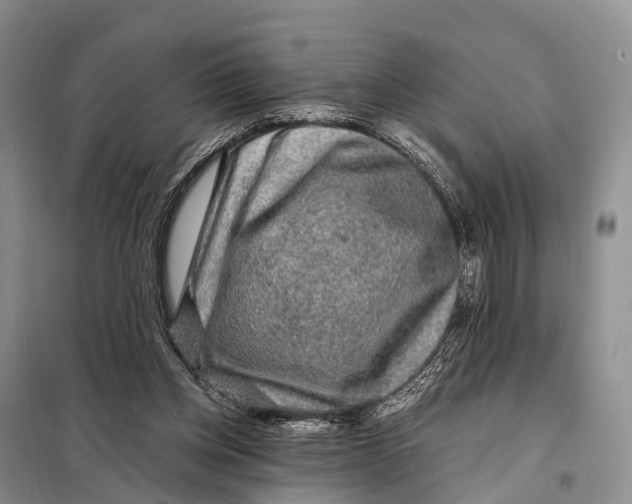X0000098010158200804251122