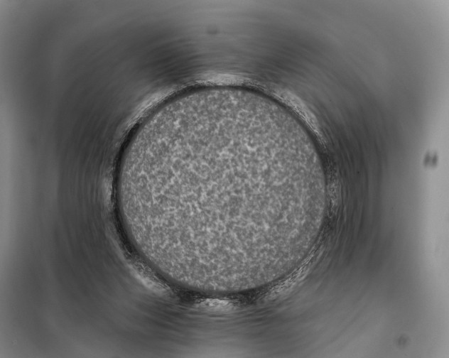 X0000098010159200804251122