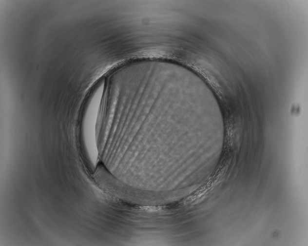X0000098010160200804251122