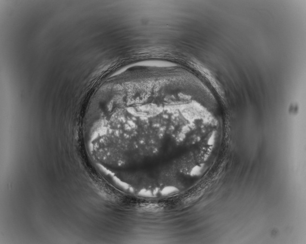 X0000098010161200804251122
