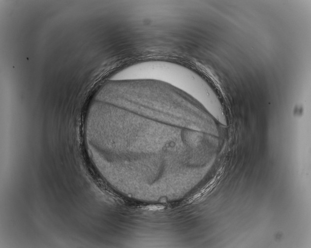 X0000098010162200804251122