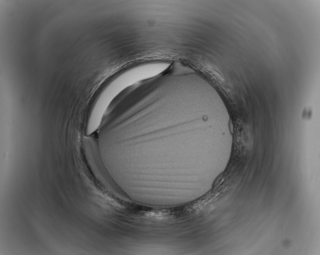 X0000098010164200804251122