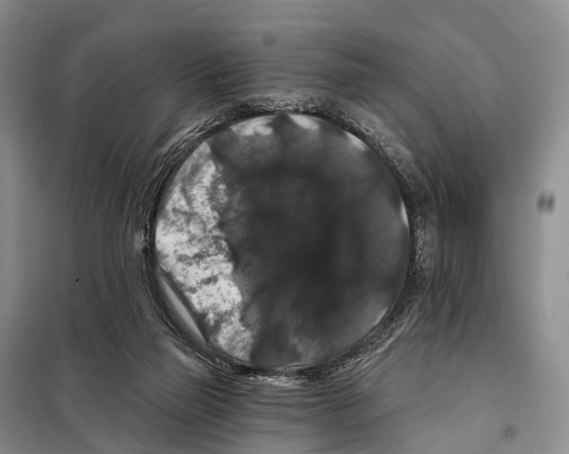 X0000098010165200804251122