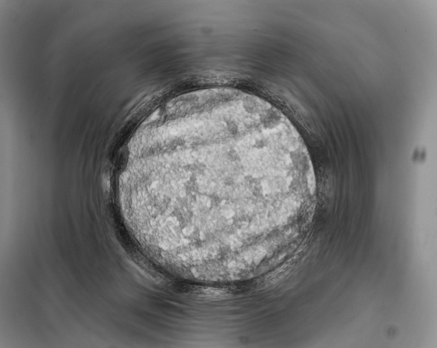 X0000098010166200804251122