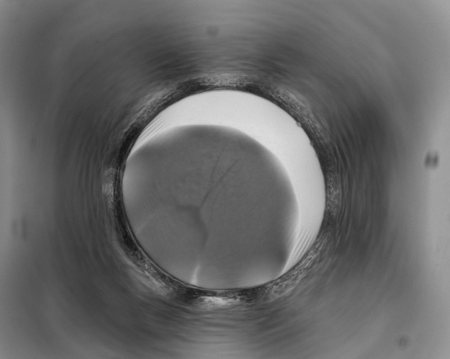 X0000098010167200804251122