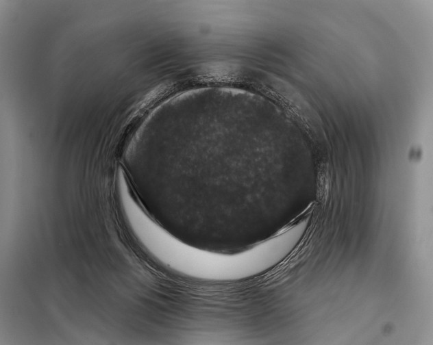 X0000098010168200804251122