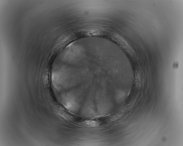 X0000098010169200804251122