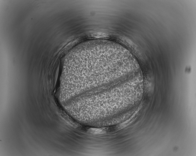 X0000098010170200804251122