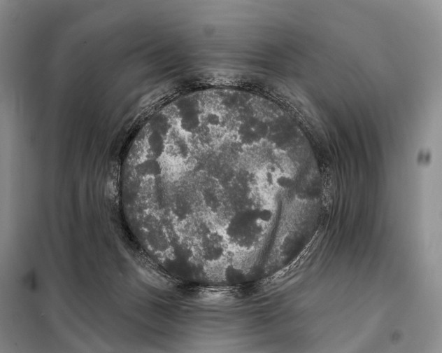 X0000098010175200804251122