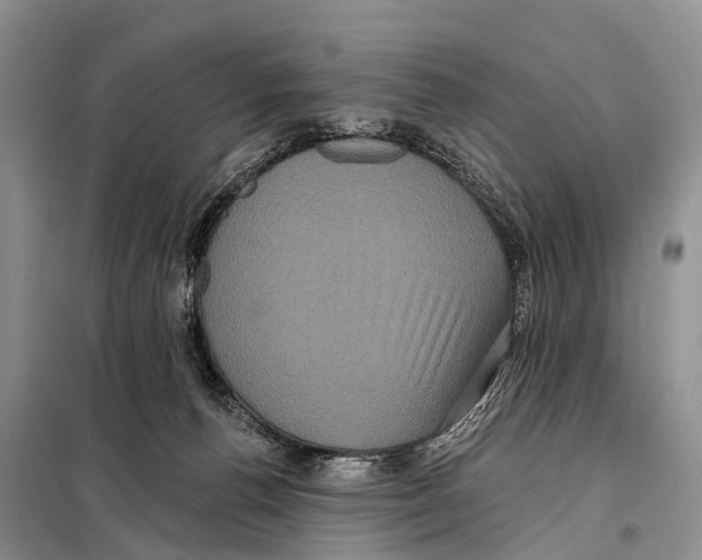 X0000098010176200804251122