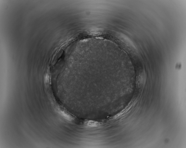 X0000098010180200804251123