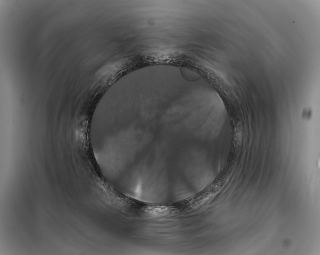 X0000098010181200804251123