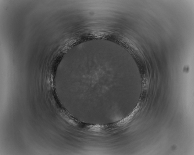 X0000098010182200804251123