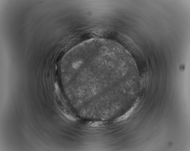 X0000098010186200804251123