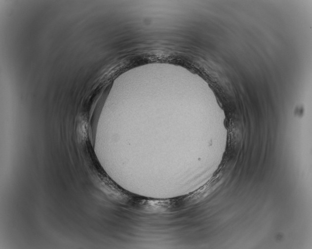 X0000098010188200804251123
