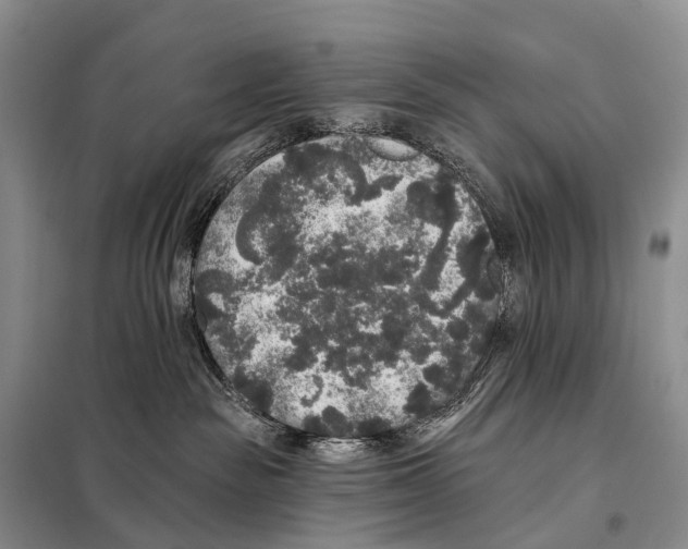 X0000098010189200804251123
