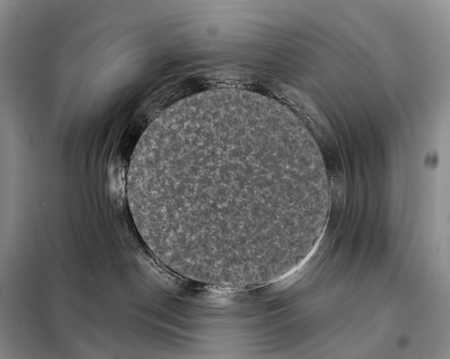 X0000098010190200804251123