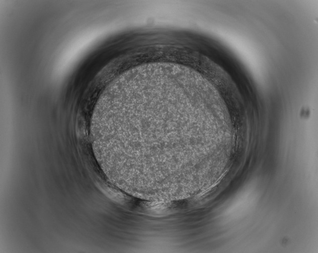 X0000098010191200804251123