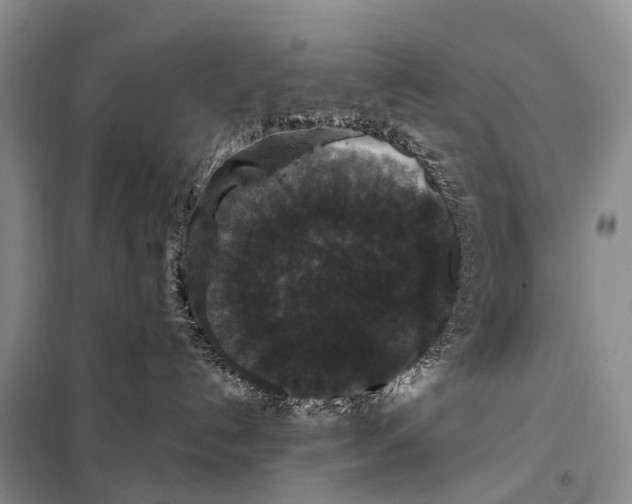 X0000098010192200804251123