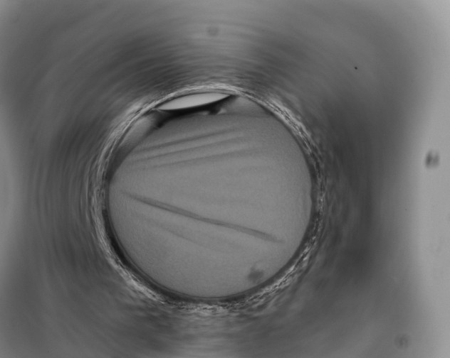 X0000098010193200804251122