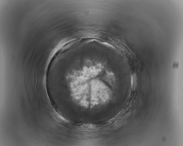 X0000098010195200804251122