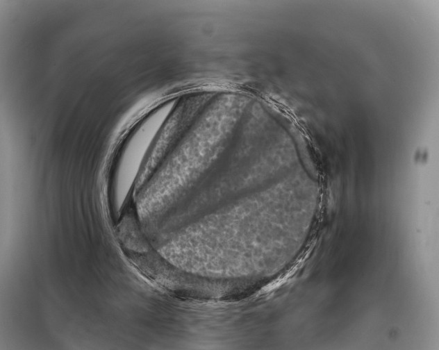 X0000098010197200804251122