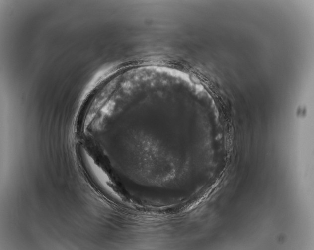 X0000098010198200804251122