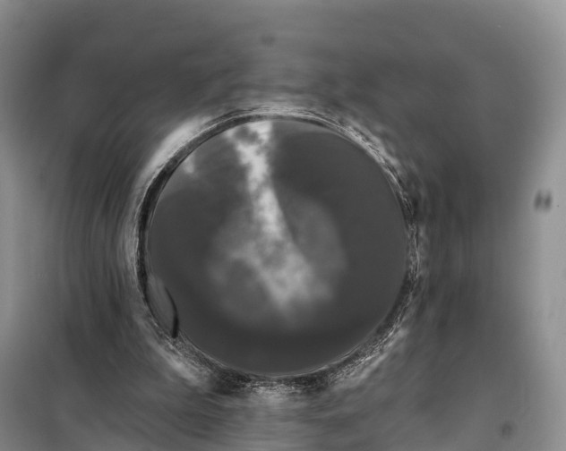 X0000098010199200804251122