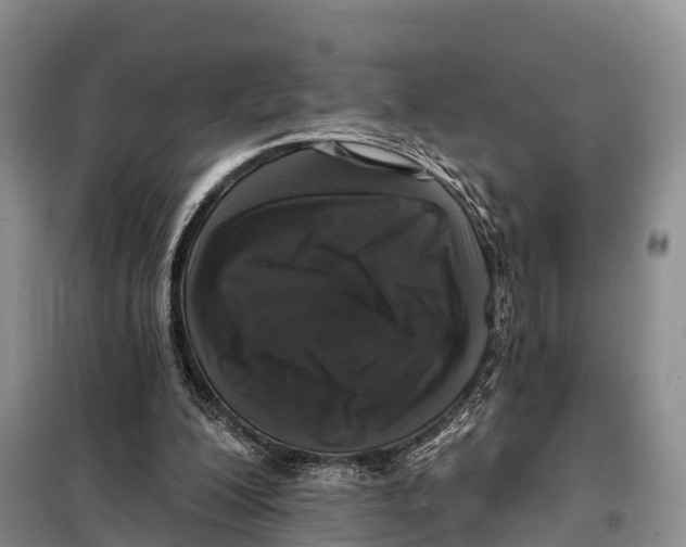 X0000098010200200804251122