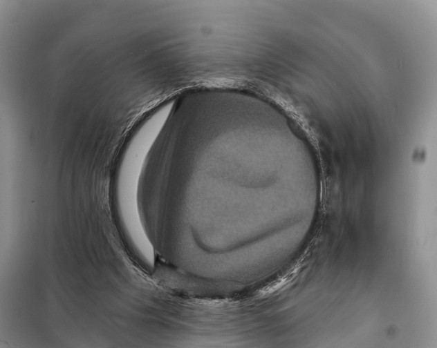 X0000098010201200804251122