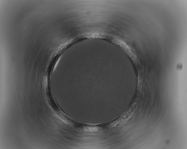 X0000098010202200804251122