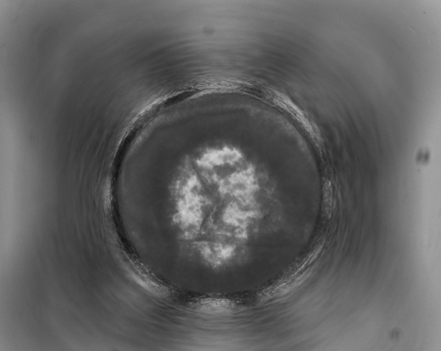 X0000098010203200804251122